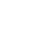 Surveillance Systems
